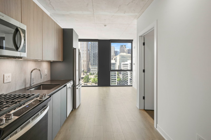 Chicago Condo: 221 w polk st