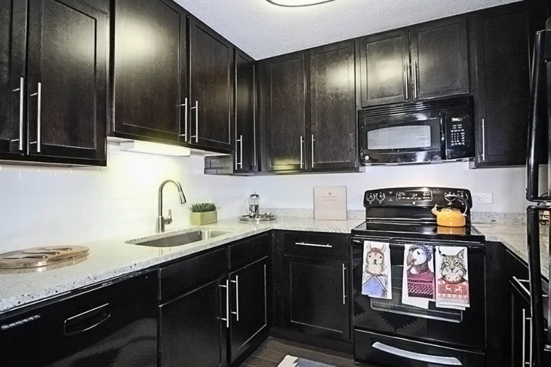 Chicago Condo: 88 W Huron