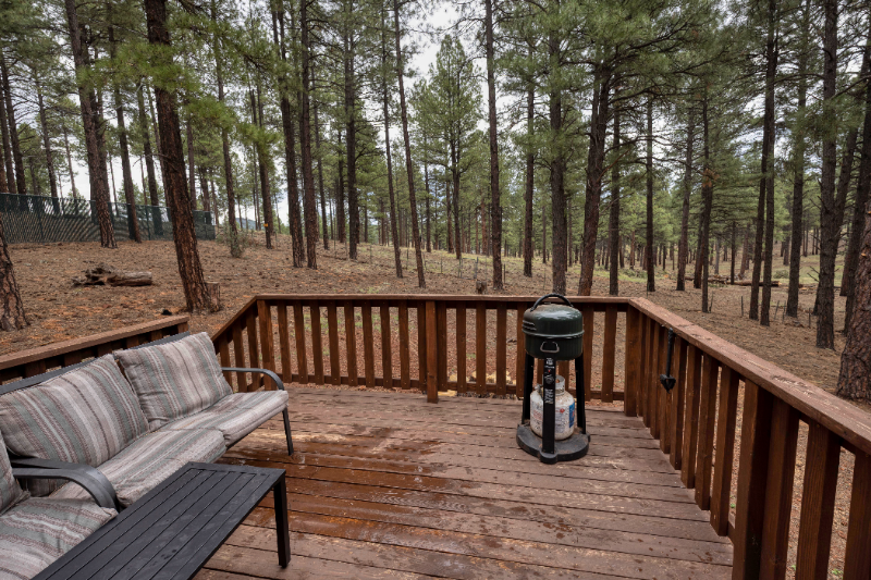 Williams House: 569 S Friar Tuck Trail