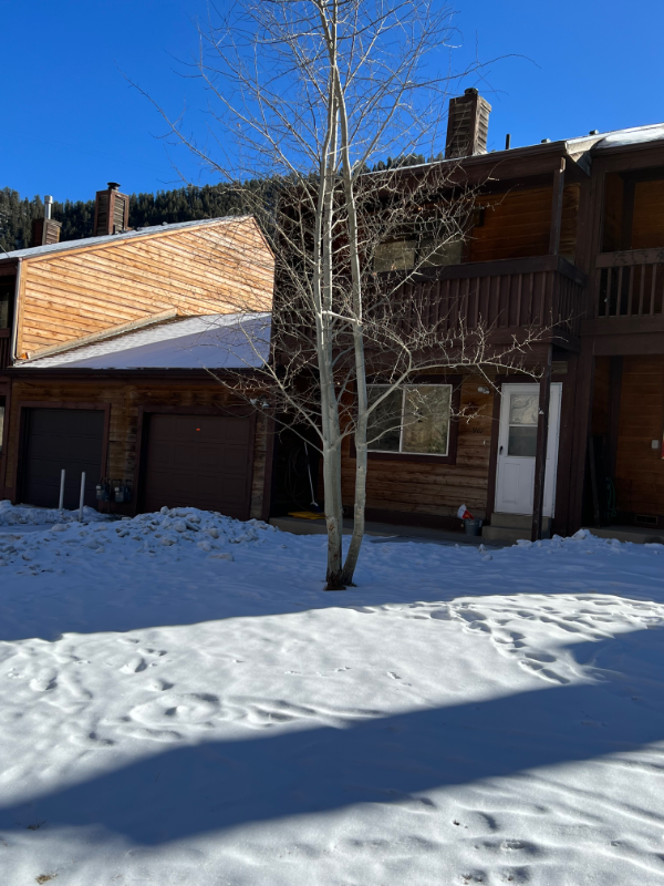 Idaho Springs House: 626 Pine Slope Road