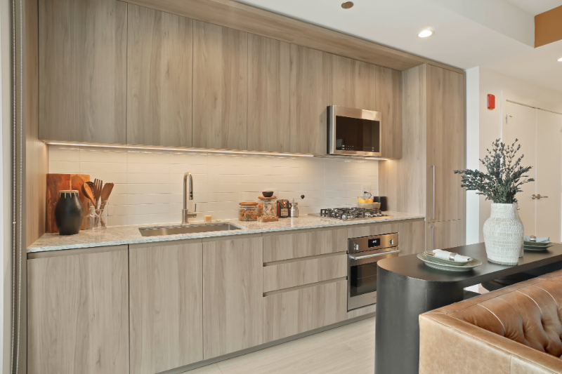 Chicago Condo: 370 N Desplaines St