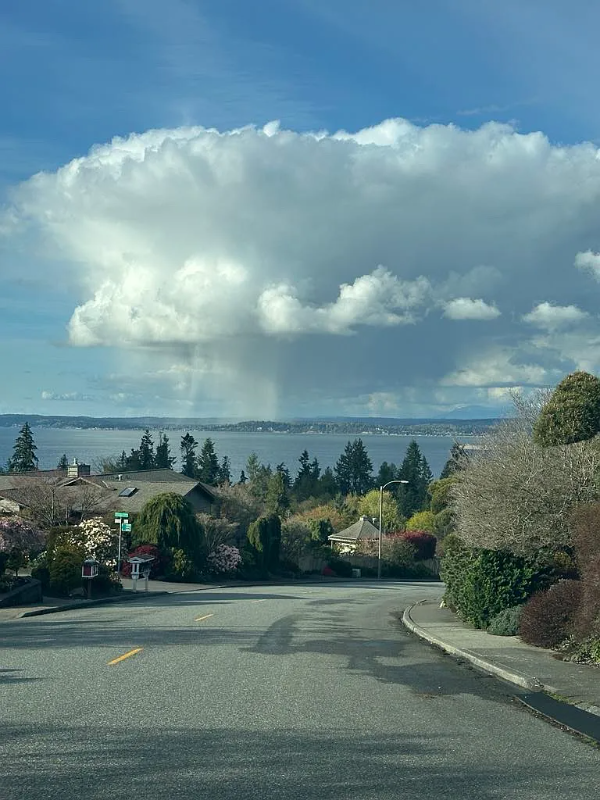 Everett House: 5111 23rd Ave W