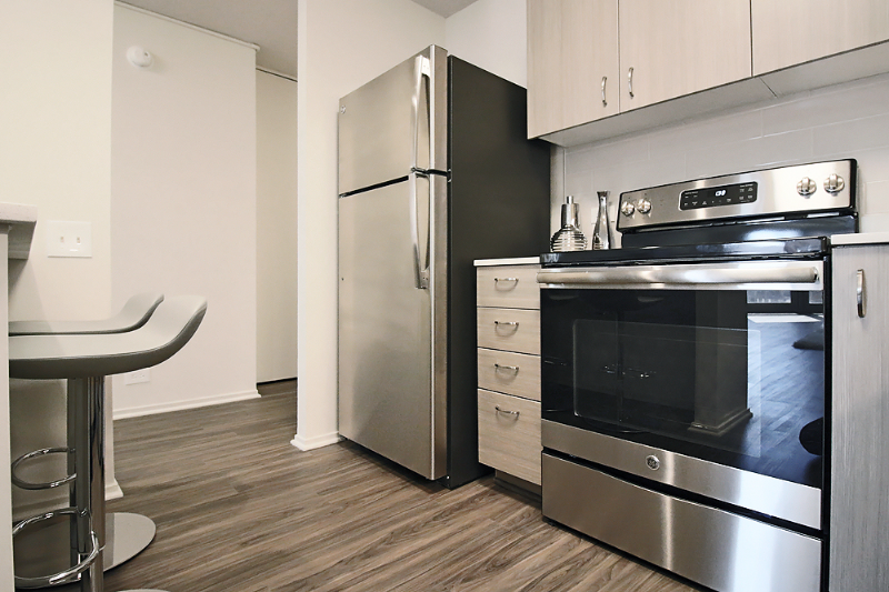 Chicago Condo: 35 W Elm St