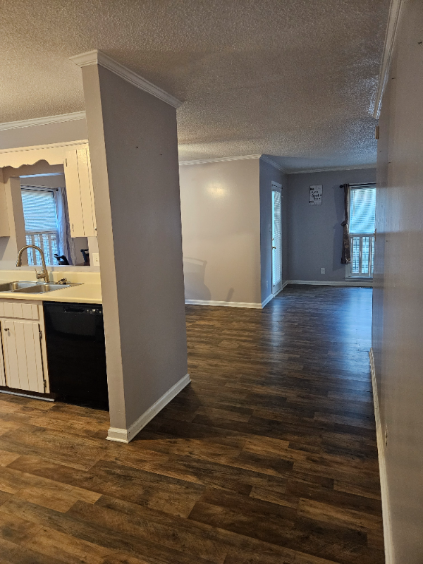 Macon House: 536 Shadow Moss Dr