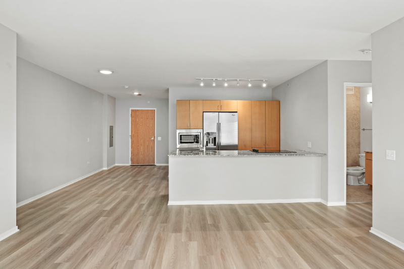 Chicago Condo: 217 E Illinois