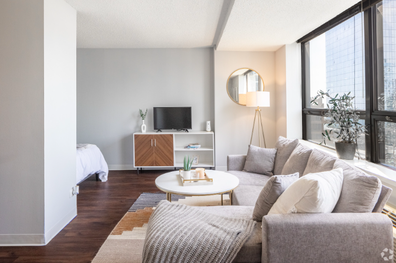 Chicago Condo: 439 E Ohio