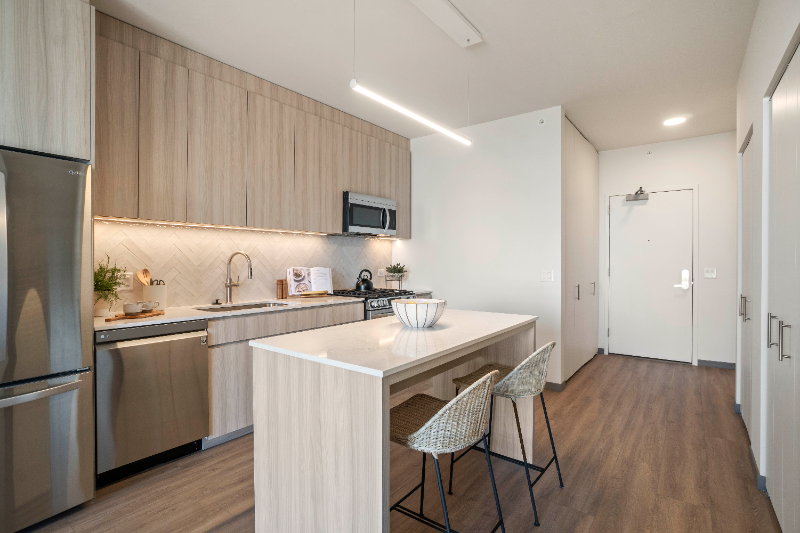 Chicago Condo: 541 S Damen Ave