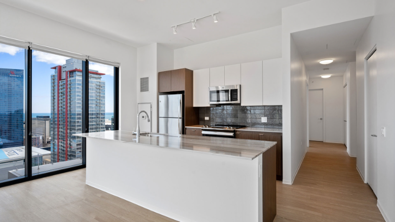 Chicago Condo: 2003 S Wabash