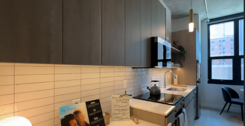 Chicago Condo: 809 north wells