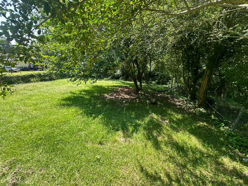 Raleigh House: 620 grantland dr