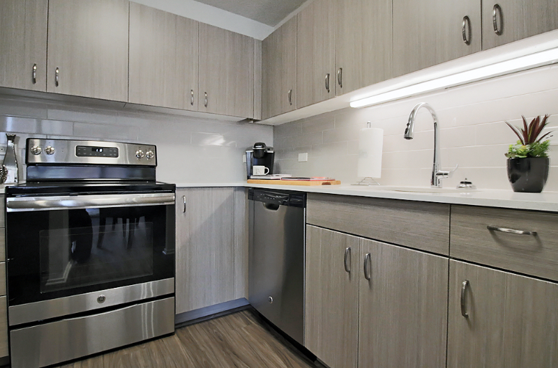 Chicago Condo: 1180 N Dearborn St