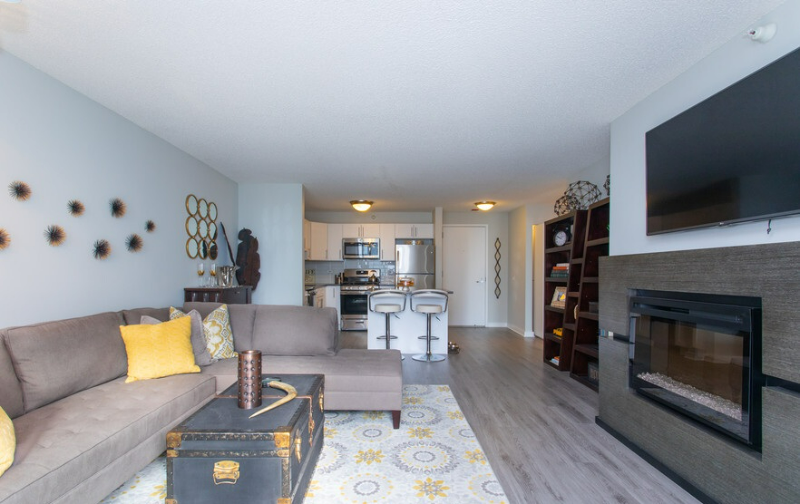 Chicago Condo: 541 N State Street