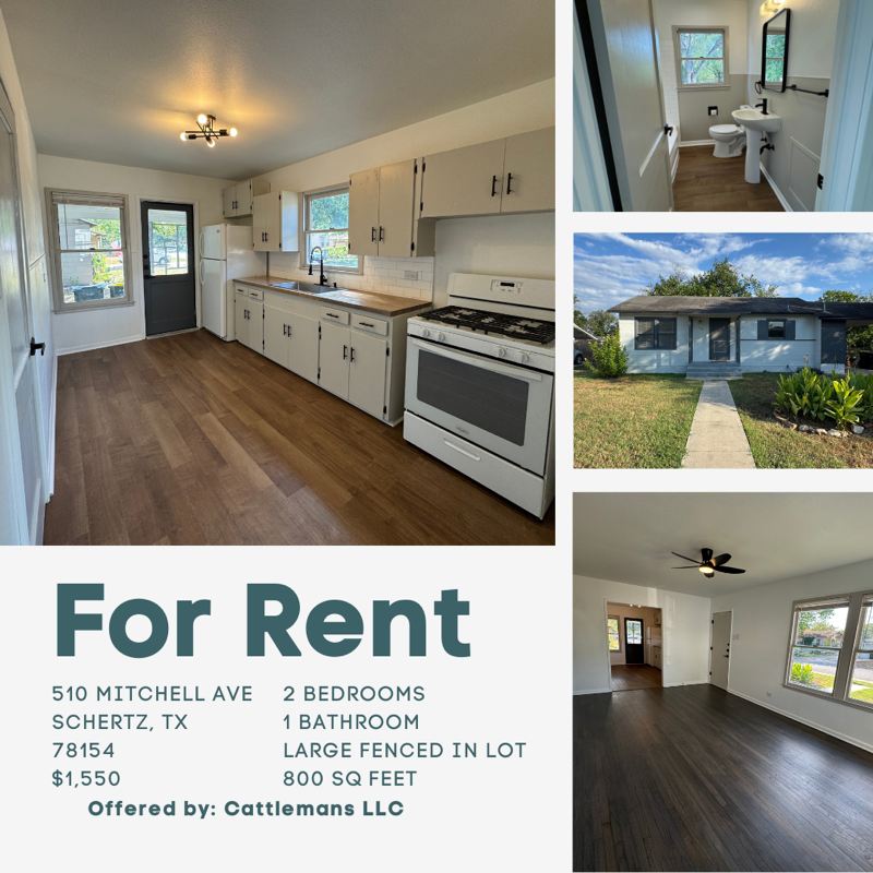 Schertz House: 510 Mitchell Ave