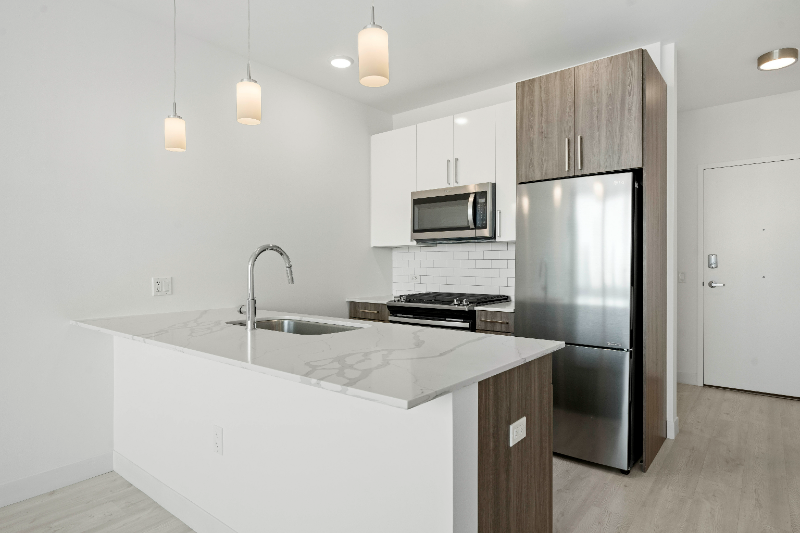 Chicago Condo: 801 South Michigan