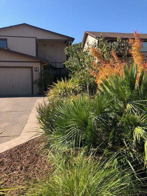 San Rafael Multiplex: 167 Clark Street