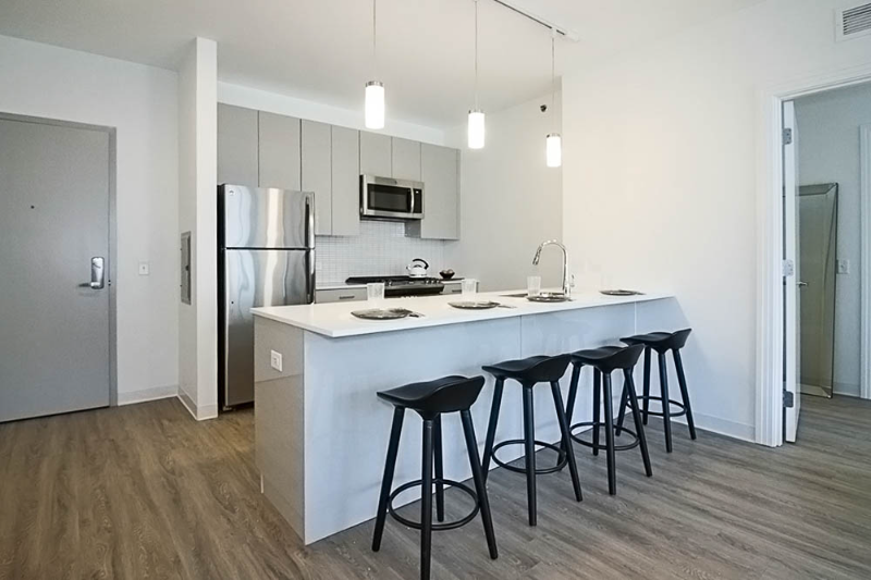 Chicago Condo: 811 W Van Buren St