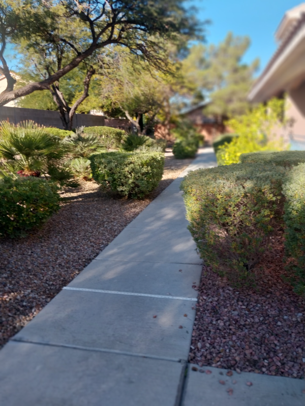 Las Vegas Condo: 10552 Pine Point