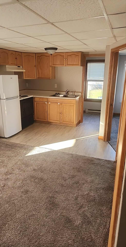 Cornell Apartment: 310 Main Street