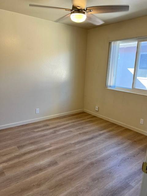 San Jose Apartment: 249 Pamela Ave
