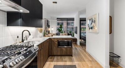 Chicago Condo: 226 E Grand Ave