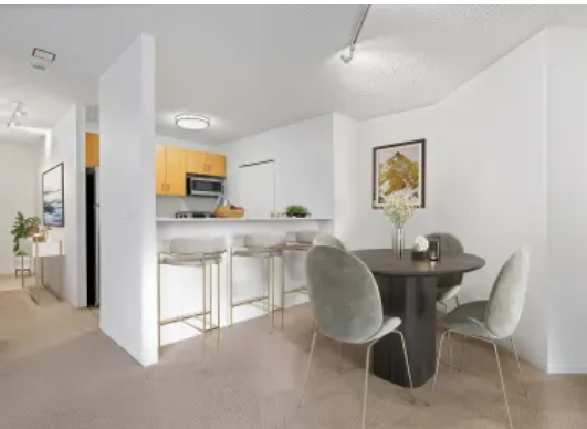 Chicago Condo: 728 N Dearborn St