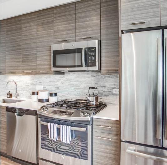 Chicago Condo: 339 E Chestnut St