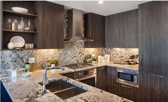 Chicago Condo: 748 N Hudson Ave