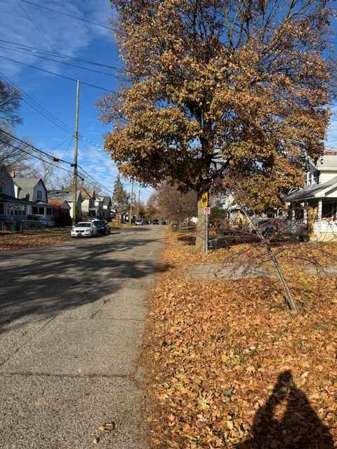 Lansing House: 301 Allen Street