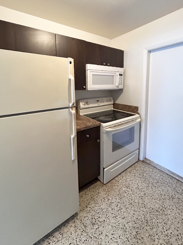 Miami Apartment: 699 NE 86th St
