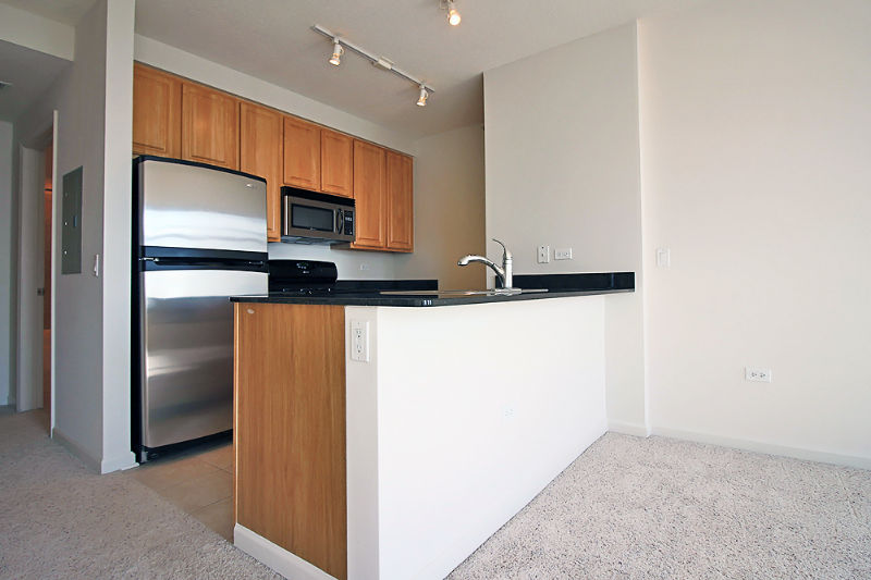 Chicago Condo: 353 N Jefferson St
