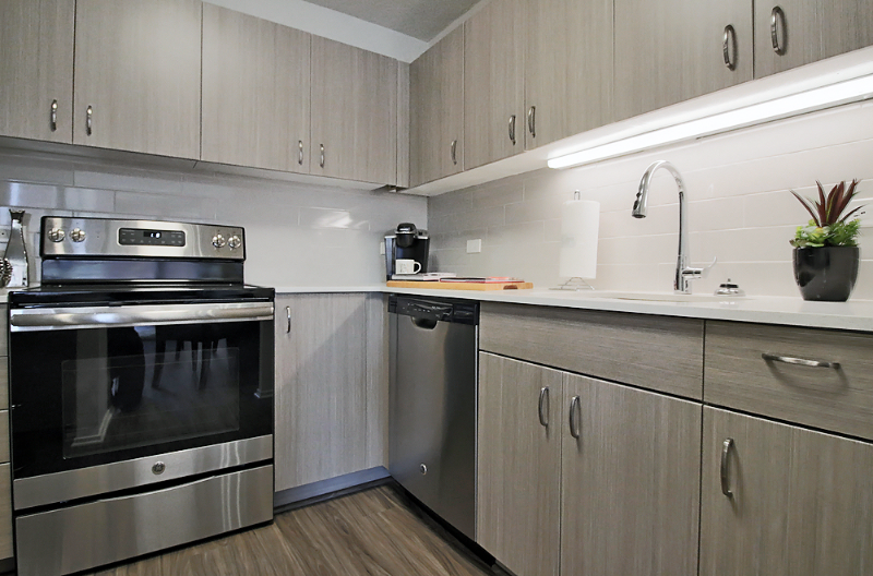 Chicago Condo: 1120 N Deaborn