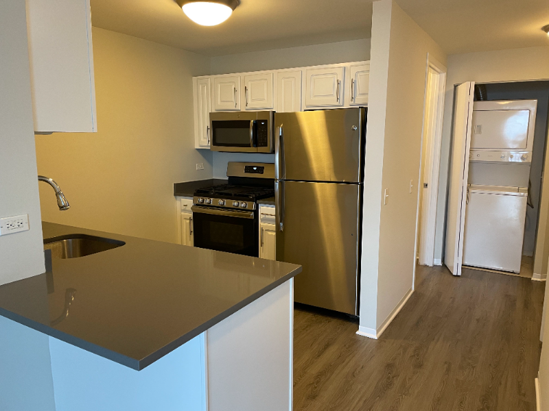 Chicago Condo: 23 W Grand