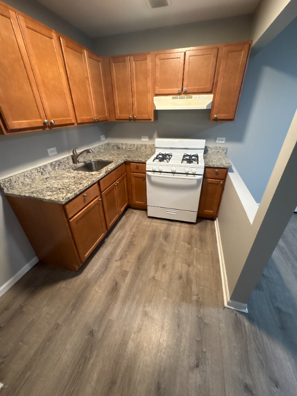 South Chicago Heights Apartment: 3341 Commercial Ave