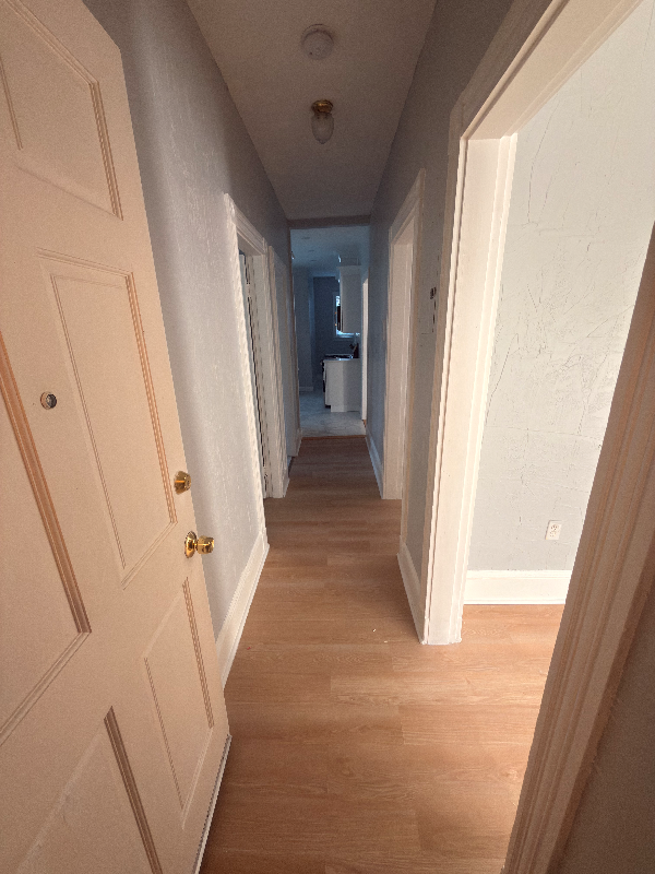 Boston Multiplex: 16 Shepton St