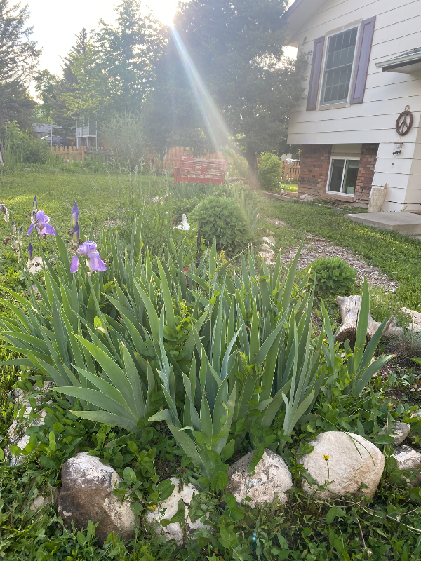 Fort Collins House: 2524 W. Plum St