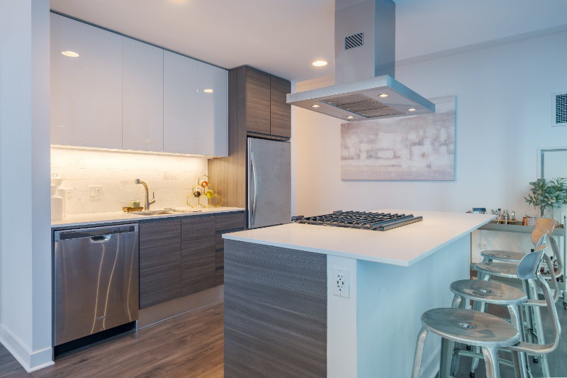 Chicago Condo: 229 W Hubbard St