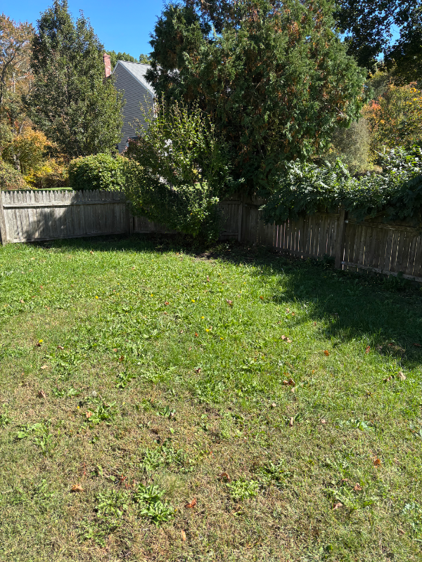 Foxborough Multiplex: 38 Leonard st