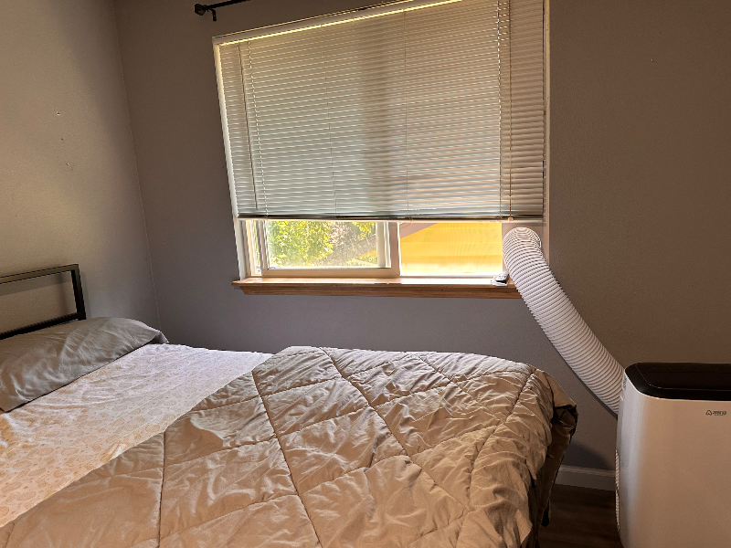 Seattle Other: 8408 22nd Ave, Seattle WA