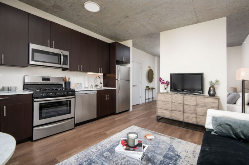 Chicago Condo: 42 e 14th st