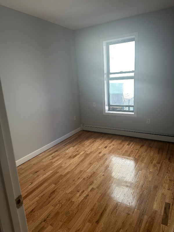 Bronx Multiplex: 809 Chestnut st