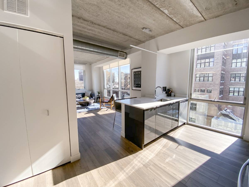 Chicago Condo: 742 W Sheridan Road