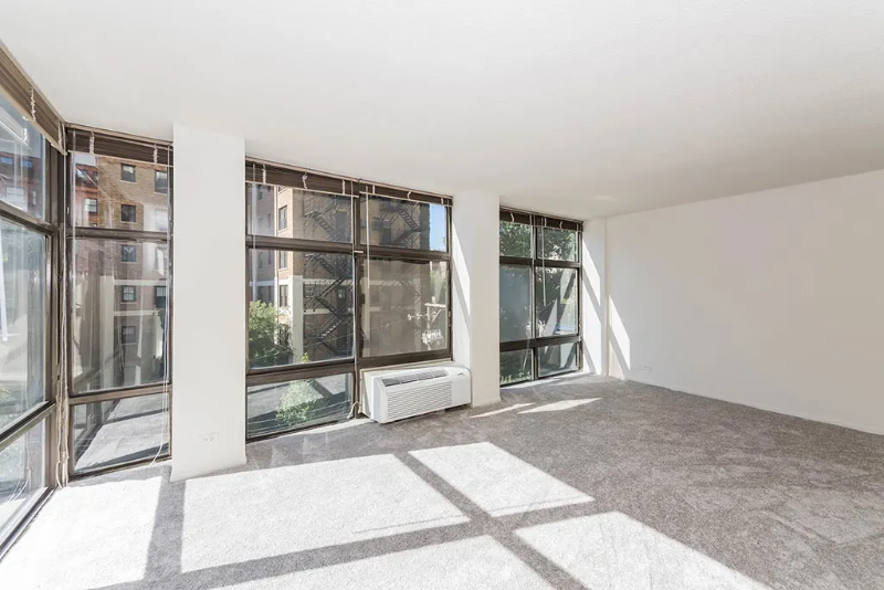 Chicago Condo: 1200 N Stone St