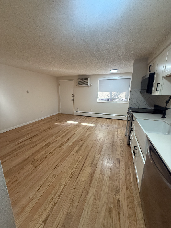 Denver Apartment: 331 Sherman St