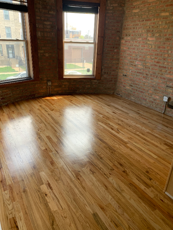 Chicago Apartment: 5902 S Prairie Ave Unit 2