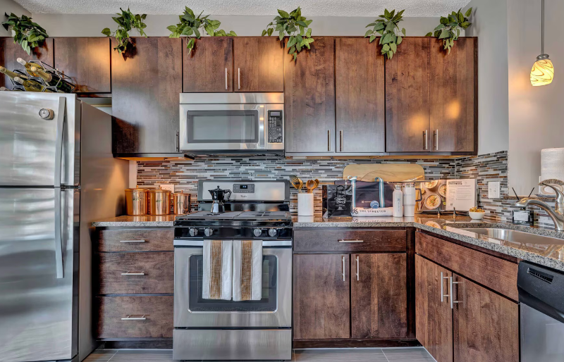 Chicago Condo: 240 E Illinois