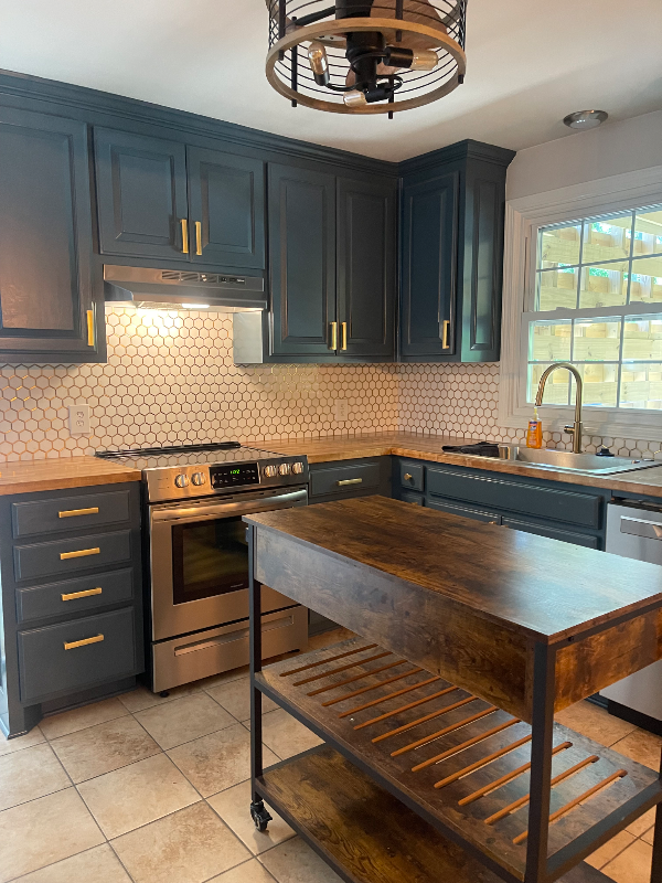 Hendersonville House: 263 Southburn Drive