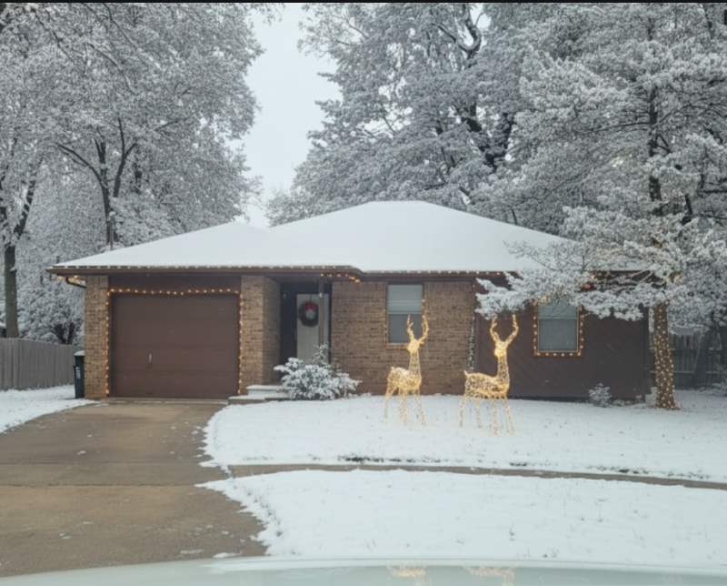 Springfield House: 521 OTTOWA