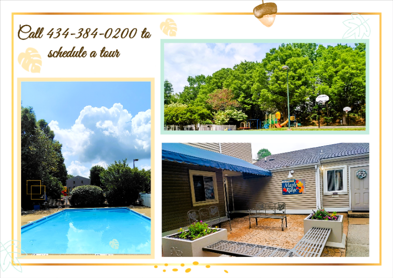 Lynchburg Apartment: 600 Reusens Road