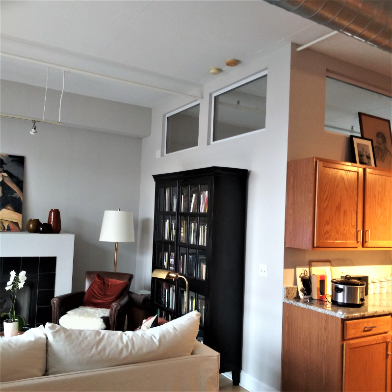 Chicago Condo: 1000 West Adams