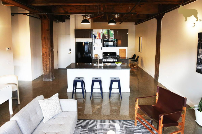 Chicago Condo: 1429 W 15th Street